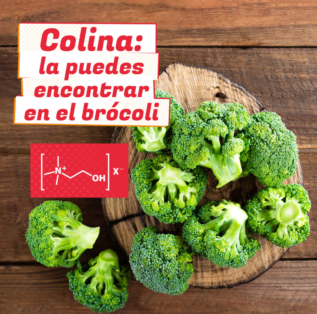 Una superficie de madera que muestra floretes de brócoli frescos dispuestos sobre una tabla de cortar de madera. Titulo y diagrama de estructura química - Colina: la puedes encontrar en el brócoli. Es de rocavit.