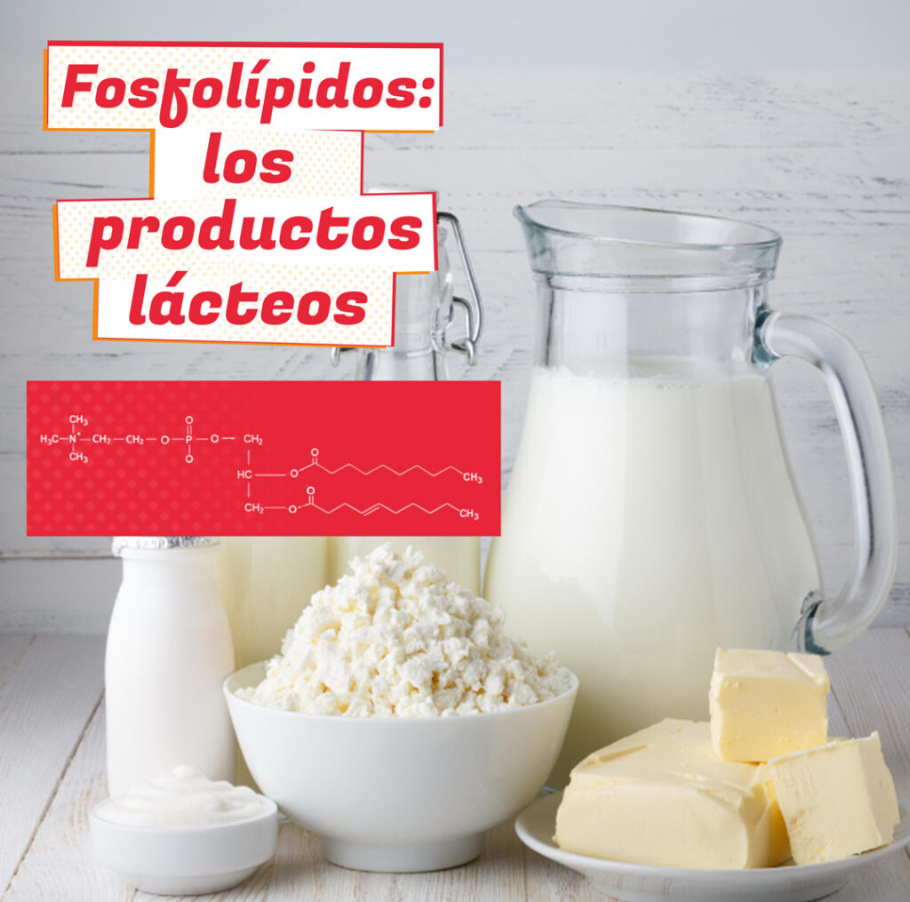 Productos lácteos como leche, nata, mantequilla y queso. Titulo y diagrama químico - Fosfolípidos: los productos lácteos. Es de rocavit.