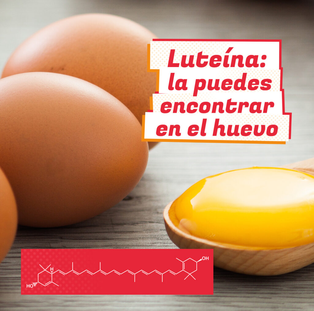 Huevos con yema en cuchara de madera. Titulo y estructura molecular - Luteína: la puedes encontrar en el huevo. Es de rocavit.